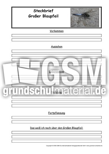 Großer-Blaupfeil-Steckbriefvorlage.pdf